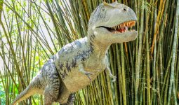 dinosaur display