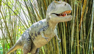 dinosaur display