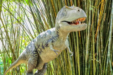 dinosaur display